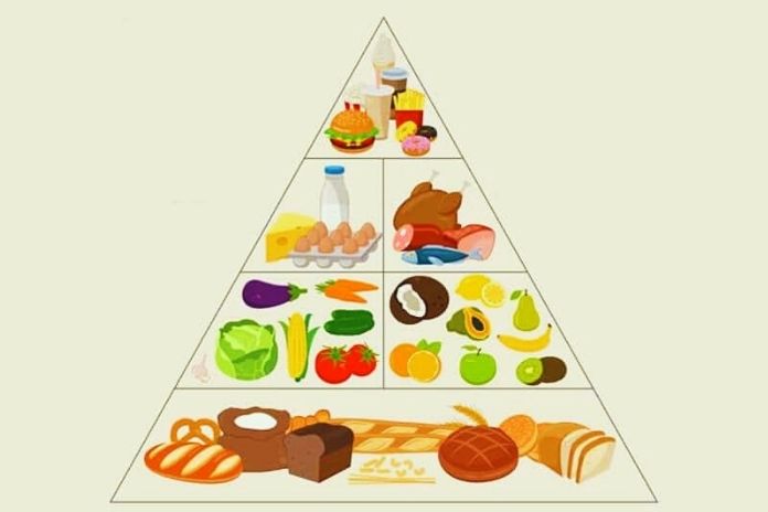 Food Pyramid - This Is How You Eat A Healthy And Balanced Diet